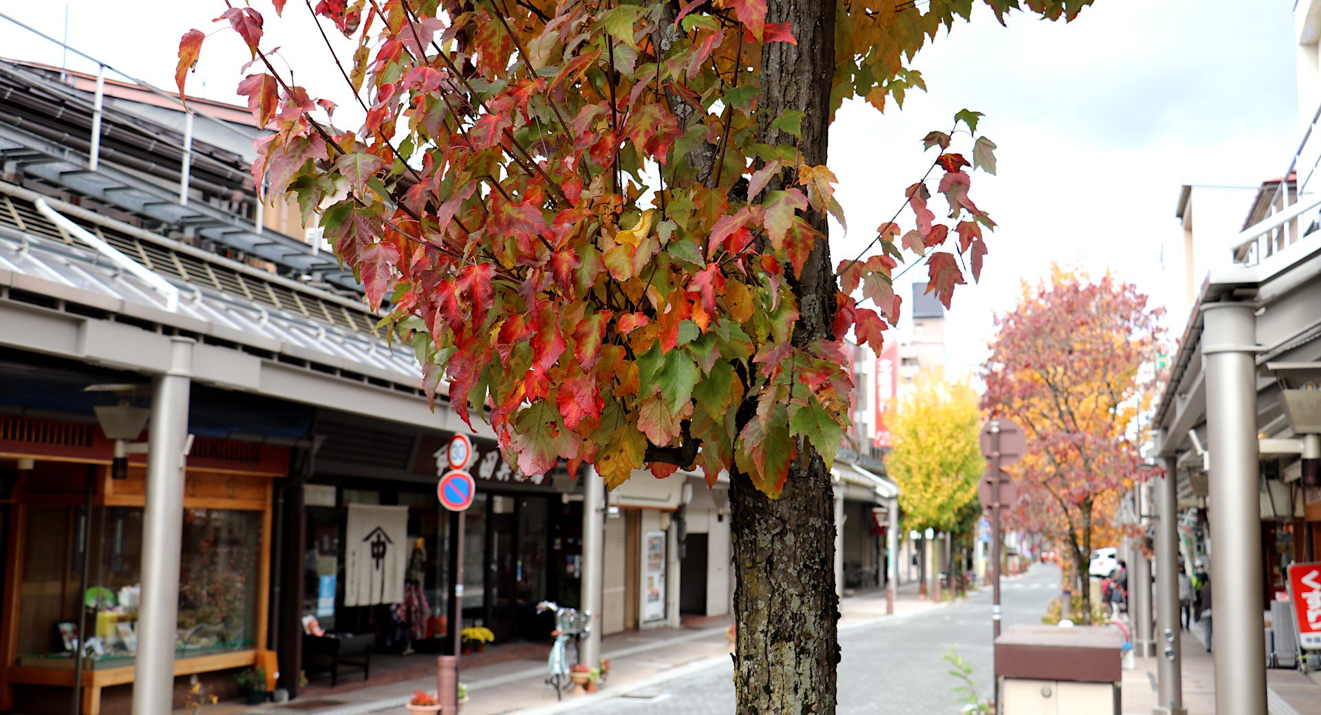 秋の商店街